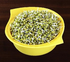 Sprouted Moong Dal